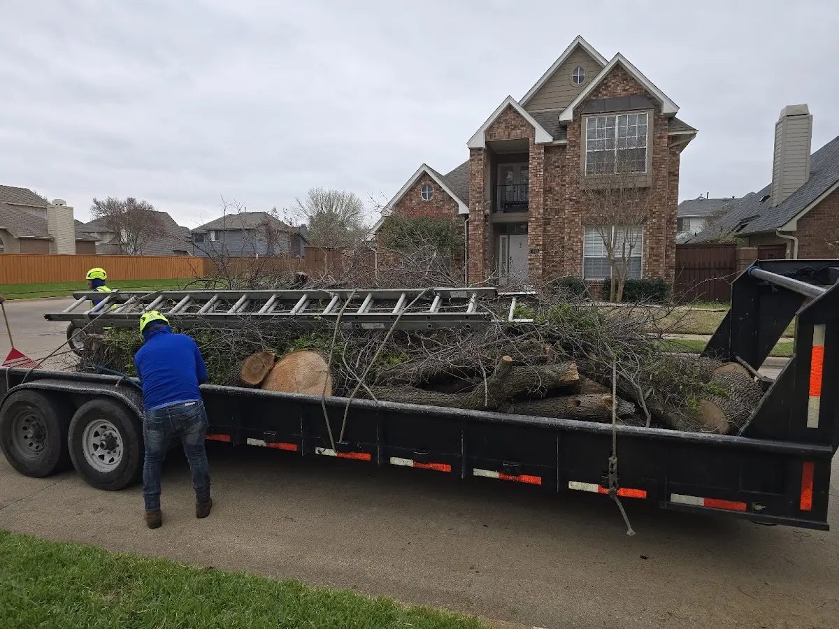 Expert Tree Fertilization with proper safety equipment in Colcord